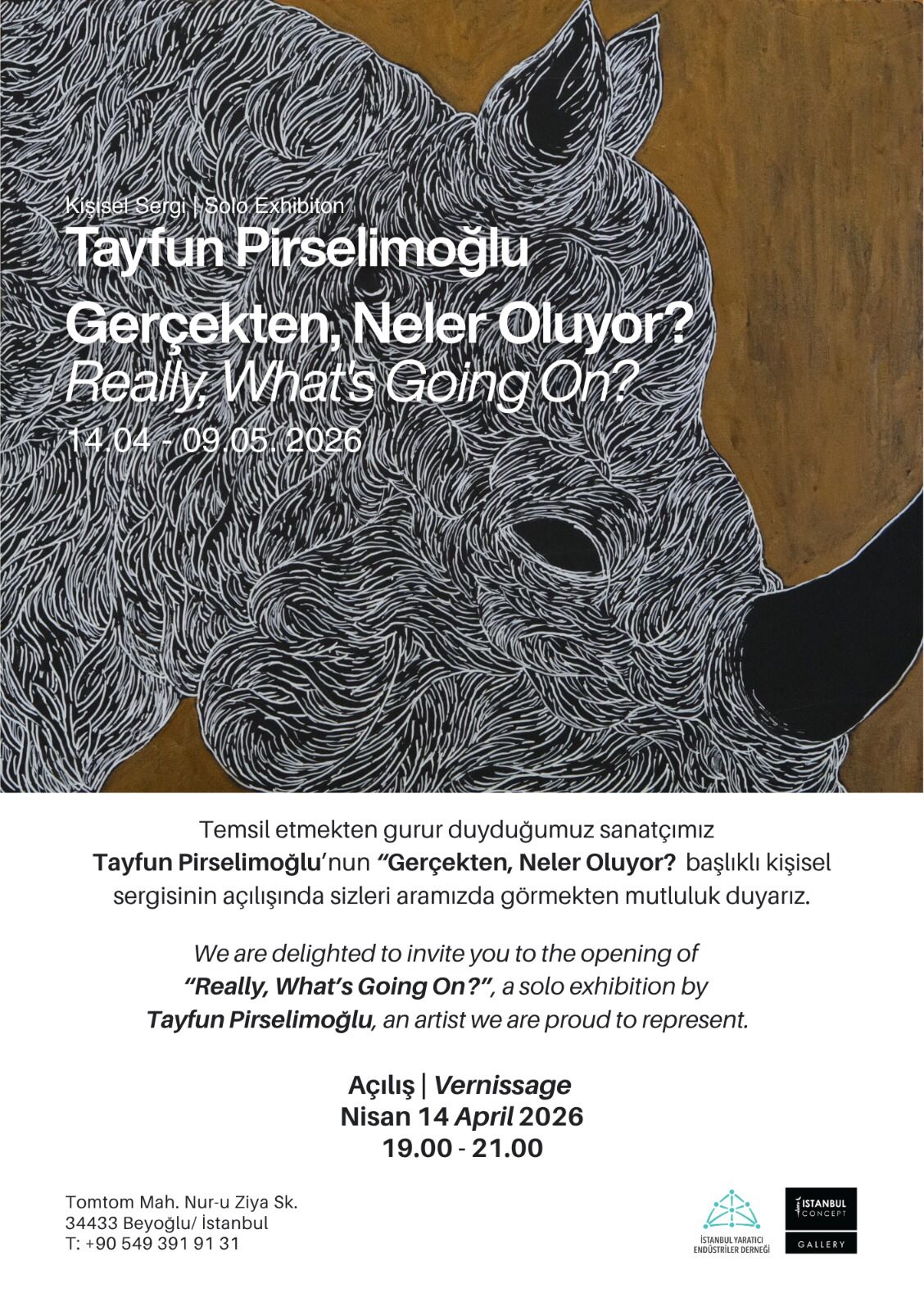 Tayfun Pirselimoğlu: Gerçekten, Neler Oluyor?
